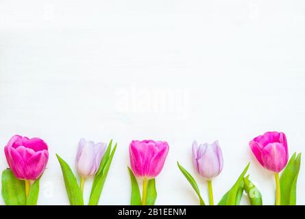 Hübsche Tulpenblumen im Frühling auf Holzkulisse, Postkarte im Frühling. Frühlingsblumenhintergrund mit Tulpenblumen im Frühling Stockfoto