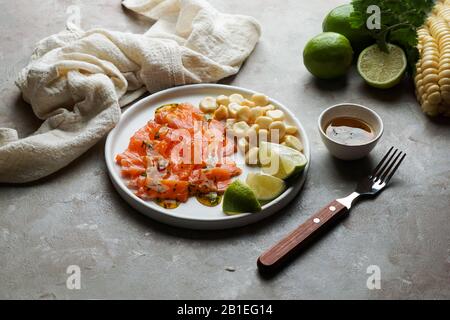 Tiradito de Lachs - peruanisches Gericht mit rohem Fisch, Carpaccio Stockfoto