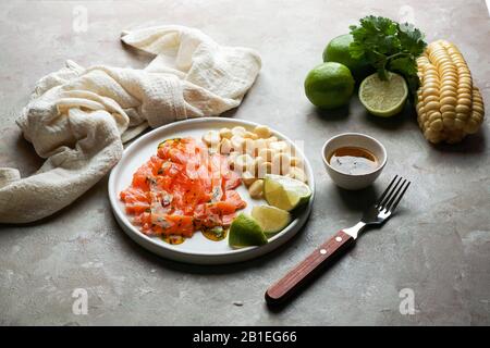 Tiradito de Lachs - peruanisches Gericht mit rohem Fisch, Carpaccio Stockfoto