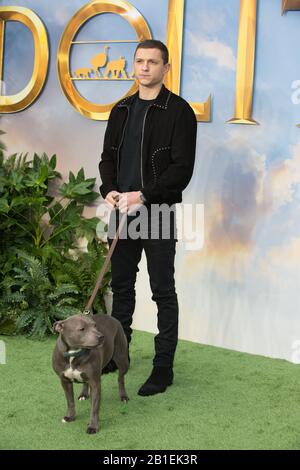 Ankunft für die spezielle Vorführung von Dolittle, Leicester Square London. 25.01.20 Mit Tom Holland Where: London, Großbritannien Wann: 25. Januar 2020 Credit: WENN.com Stockfoto