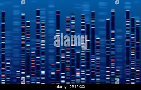 DNA-Datendiagramm. Medizinische Testgrafik, abstrakte Genomsequenzen Grafik und Genomik Kartenvektorabbildung Stock Vektor