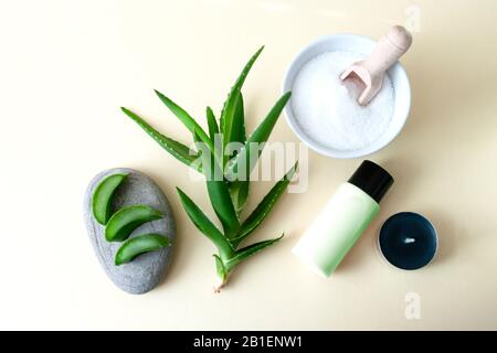 Flat Lay mit Aloe vera Kosmetikprodukten. Stockfoto