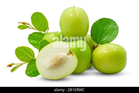 Frische grüne Jujube Früchte isoliert auf weißem Hintergrund Stockfoto