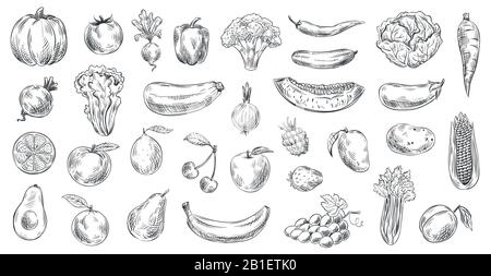 Skizzierte Gemüse und Obst. Handgezeichnete organische Lebensmittel, Gravur Gemüse und Obst Skizze Vektor Illustration Set Stock Vektor