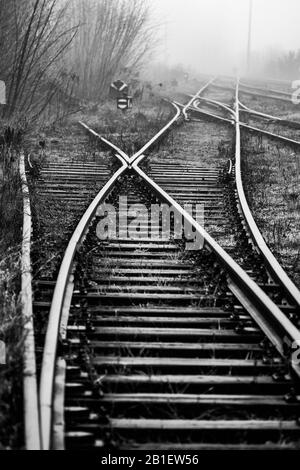 Bahngleise Schaltet sich in Nebel und Büschen im nebligen Morgengrauen ab - monochromes Bild Stockfoto