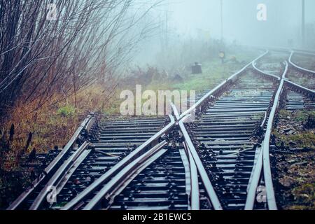 Bahngleise Verschwinden morgens in Nebel und Büschen Stockfoto