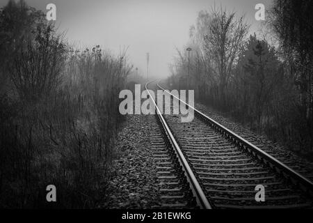Die Perspektive der Bahngleise verschwindet in Nebel am nebligen Morgen - monochromes Bild Stockfoto