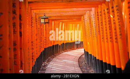 Rote Torii-Tore in Fushimi Inari Stockfoto