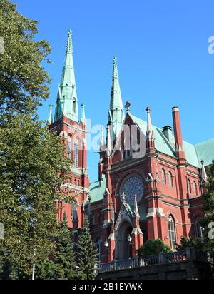 Berühmter gotisch-roter historischer Architekturstein in Helsinki, Finnland mit blauem Himmel und lebendigem grünem Gras. Reisefotografie in der Stadt Europa Stockfoto