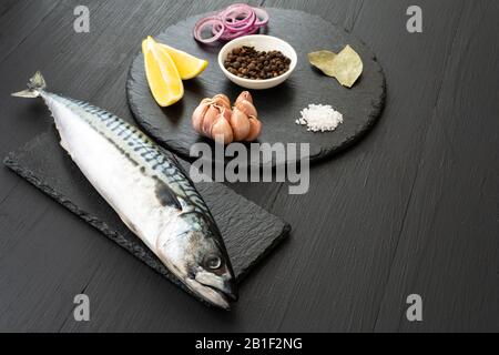 Frische, rohe Makrele mit Gewürzen auf einem schwarzen konkreten Hintergrund Stockfoto