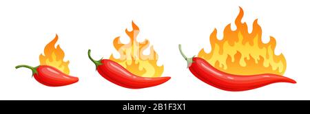 Cartoon heiße Paprika. Würziger Pfeffer mit Feuerflammen und Flammen rote Chili-Vektorsymbole gesetzt Stock Vektor