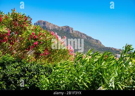 Panoramablick auf die Kapklippen und Felsen von Capo Figari mit Monte Ruju-Mount an der Tyrrhenischen Meeresküste in Golfo Aranci, Sardinien, Italien Stockfoto