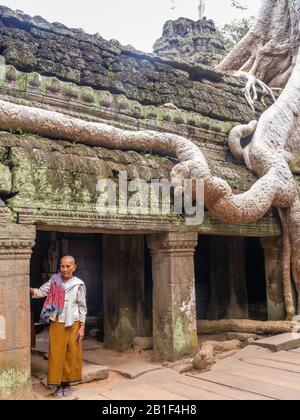 Bild des Ta Prohm Tempels, des photogenen Tempels im Archäologischen Park Angkor Wat, Siem Reap, Kambodscha. Stockfoto