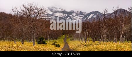 Furepe fällt, Furepe, kap, utoro, Leuchtturm, Wald, Natur, Landschaft, shiretoko, Wald, Wildnis, Zentrum, Wasserfall, Klippe, Meer, okhotsk, c Stockfoto