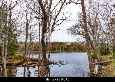 Der Dritte See von Shiretoko Goko Five Lakes Area. Rolling Mountain Range und Woodland im Frühling. Shiretoko-Nationalpark. Shari, Hokkaido, Japan Stockfoto