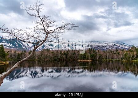 Der Dritte See von Shiretoko Goko Five Lakes Area. Rolling Mountain Range und Woodland im Frühling. Shiretoko-Nationalpark. Shari, Hokkaido, Japan Stockfoto