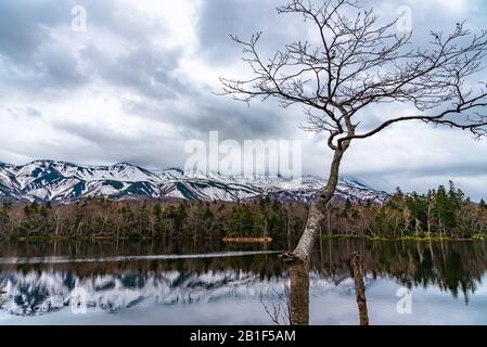 Der Dritte See von Shiretoko Goko Five Lakes Area. Rolling Mountain Range und Woodland im Frühling. Shiretoko-Nationalpark. Shari, Hokkaido, Japan Stockfoto