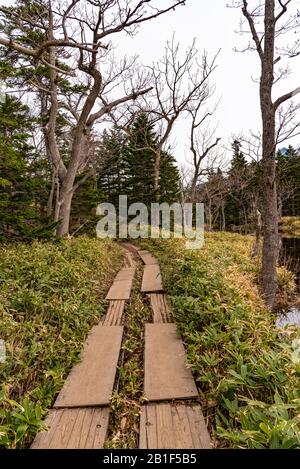 Der Zweite See von Shiretoko Goko Five Lakes. Rolling Mountain Range und Woodland im Frühling. Shiretoko-Nationalpark. Shari, Hokkaido, Japan Stockfoto