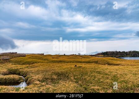 Shiretoko Goko Five Lakes im Shiretoko National Park. Touristen können auf dem erhöhten Holzsteg spazieren gehen. Shari, Hokkaido, Japan Stockfoto