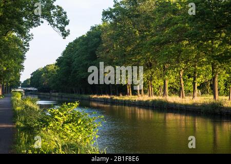 Friedlicher Abschnitt des Dessel-Turnhout-Schoten-Kanals. Ein Wander- und Radweg liegt am Wasser entlang, reiche grüne Bäume runden das Bild ab. Stockfoto