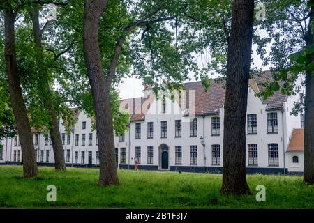 Der Beginenhof von Brüggen ist ein ruhiger Ort im Stadtzentrum von Brüggen. Eine Reihe weiß gestrichener Häuser steht entlang eines Gartens mit Bäumen. Stockfoto