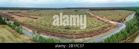 24. Februar 2020, Brandenburg, Grünheide: Combo: Das Panorama von vier Einzelbildern zeigt den gerodeten Kiefernwald auf dem Gelände der zukünftigen Tesla Gigafactory (Luftbild mit einer Drohne). Der erste Teil der Räumung für das geplante Werk des US-amerikanischen Elektroauto-Herstellers Tesla in Grünheide bei Berlin ist nahezu abgeschlossen. Der erste Teil des Baumfellens umfasste etwa 90 Hektar. Tesla plant, auf diesem Gelände östlich der Autobahn A10 Berlin Ring in der Gemeinde Grünheide ein Gigafaktorium zu errichten. In einer ersten Phase ab Sommer 2021 sind es rund 500.000 Elektroautos Des Typs 3 und Y Stockfoto