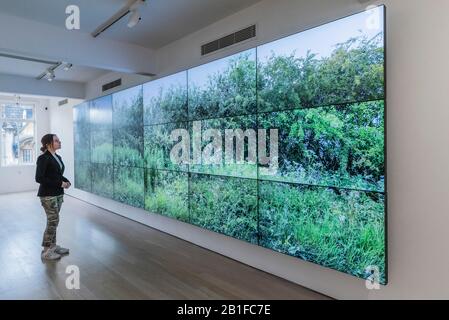 London, Großbritannien. Februar 2020. Seven Yorkshire Landscapes, 2011 - Eine Ausstellung von Porträts von David Hockney in Annely Juda Fine Art in London, die vom 28. Februar bis 25. April 2020 läuft. Die Show fällt zusammen mit Hockneys Ausstellung in der National Portrait Gallery, die am 27. Februar 2020 eröffnet wird. Die Ausstellung umfasst 18 Porträts von Hockneys Freunden und Mitarbeitern auf Leinwand. Credit: Guy Bell/Alamy Live News Stockfoto