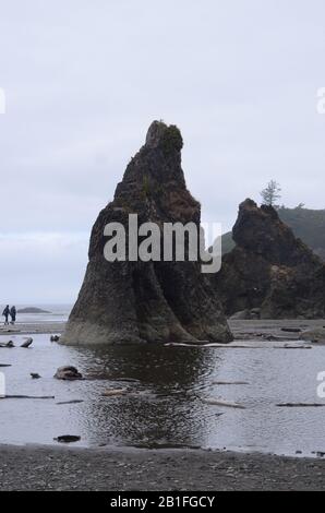 Schattierungen von grau: grau Obertöne verbrauchen Ruby Beach im Staat Washington. Stockfoto