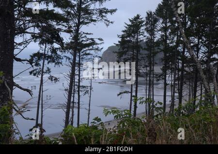 Schattierungen von grau: grau Obertöne verbrauchen Ruby Beach im Staat Washington. Stockfoto