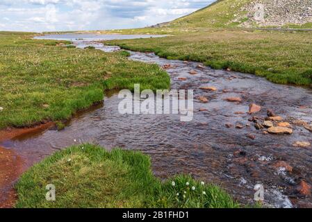 Landschaft mit einem Bach und Gras am Summit Lake auf dem Mount Evans Scenic Byway in Colorado Stockfoto