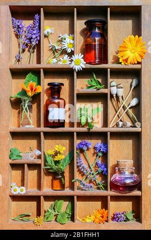 Medizinische Anlagen in einem Briefkasten Stockfoto