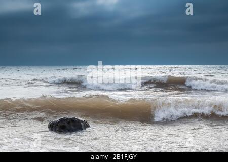 Stürmischer Himmel über dem Lake Superior, Flussmünde des Kadunce, Ende Januar, MN, USA, von Dominique Braud/Dembinsky Photo Assoc Stockfoto