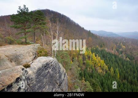 Blick über die Hügellandschaft, Kirnitzschtal, Elbsandsteingebirge, Nationalpark Sächsischen Schweiz, Sachsen, Deutschland, Europa Stockfoto