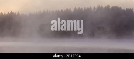 Frühherbst-Morgennebel in Vanemfjorden im See Vansjø, Østfold, Norwegen. Stockfoto