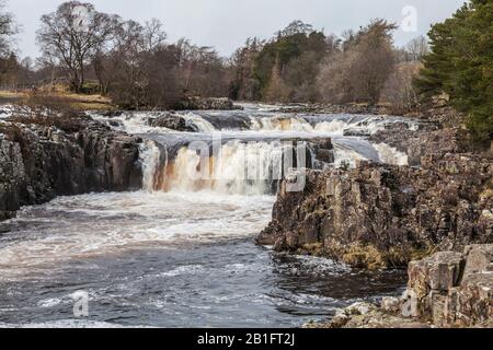 Die Wasserfälle bei niedrigen Kraft, Teesdale, England, Großbritannien Stockfoto