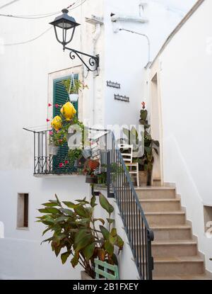 Pflanzen Sie gefüllte hängende Töpfe vor einem weiß gewaschenen Haus in Locorotondo, Valle d'Itria, Bari District, Apulien, Italien, Europa Stockfoto