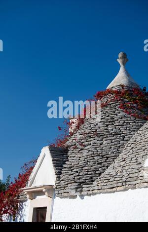 Roter Evit verlässt das Steindach eines Trullo in der Nähe von Locorotondo, Valle d'Itria, Bari District, Apulien, Italien, Europa Stockfoto