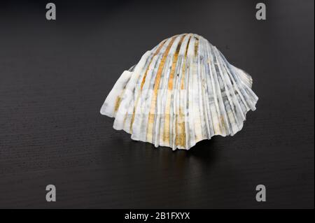 Auf schwarzem Hintergrund einseilen Stockfoto