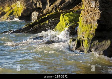 Blick auf die Küste nach Norden entlang der Küste, wo sie auf die felsige Felswand von Penbryn Beach Cardigan Bay West Wales trifft. Stockfoto