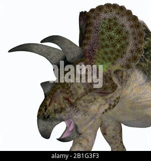 Triceratops war ein herbivorer Ceratopsier Dinosaurier, der während der Kreidezeit in Nordamerika lebte. Stockfoto