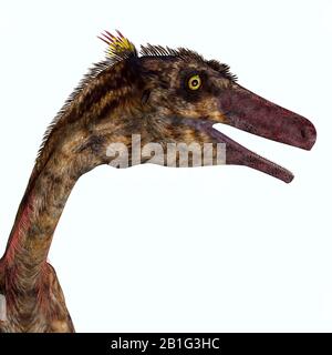 Troodon war ein fleischfressende Theropod-Dinosaurier, der während der Kreidezeit in Nordamerika lebte. Stockfoto