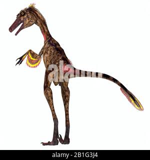 Troodon war ein fleischfressende Theropod-Dinosaurier, der während der Kreidezeit in Nordamerika lebte. Stockfoto