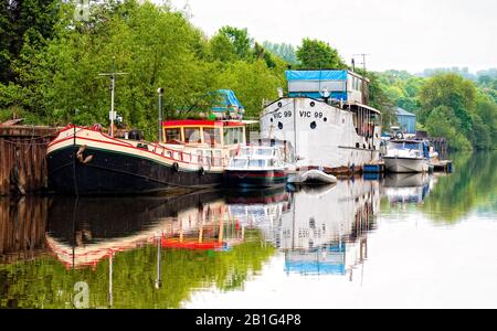 Festgemachte Boote auf dem Fluss Severn in der Nähe von Stourport, Worcestershire, England, Großbritannien, Großbritannien Stockfoto