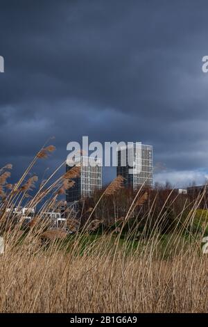 Blick auf das East Village und den Queen Elizabeth Olympic Park, London, England, Großbritannien, Europa. Stockfoto