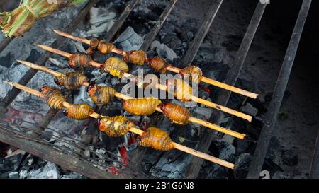 Chontacuros oder Mayones (geröstete Würmer) Würmer auf einem Grill mit brennenden Kohlestücke auf einem beliebten Markt in der Stadt Lago Agrio Stockfoto