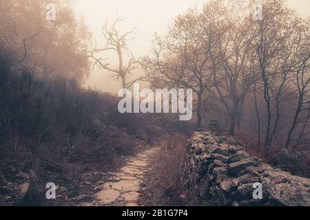 Landschaft mit Nebel in der Nähe von montanchez. Der Extremadura. Spanien. Stockfoto