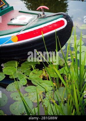 Farbenfrohe Motor- und butty-Schmalboote, die am Erewash Canal, Derbyshire, England, Großbritannien, festgemacht sind Stockfoto