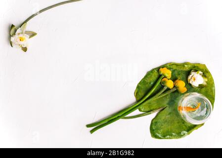 Sommer Hintergrund. Frische Blumen auf weißem Hintergrund. Gelbe und weiße Seerosen und ein gläserner Kelch mit Goldfisch. Wasserpflanzen mit kopiertem Whirlpool Stockfoto