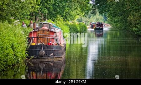 Vertäute Schmalboote und Kreuzfahrtschiffe mit Wanderern auf dem bewachsenen Schleppweg auf dem Trent and Mersey Canal, England, Großbritannien, Derbyshire Stockfoto