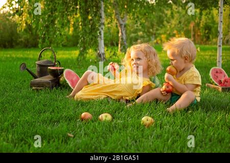 Fröhliche lächelnde Kinder essen bei einem Picknick im Sommer bei Sonnenuntergang Äpfel im Freien. Weißer blonder Baby-Junge und Mädchen, Schwester und Bruder essen apfel. Glücklich Stockfoto